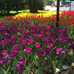 Meet your Posher, Denise